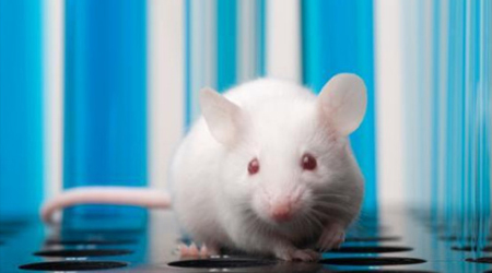 Por primera vez en la historia